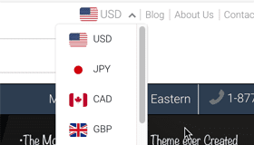 Currency Switcher